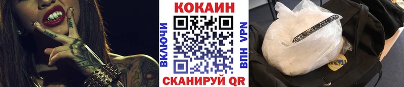 Купить закладки  Вельск  Cocaine Fish Scale 