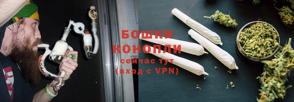 трава Инта