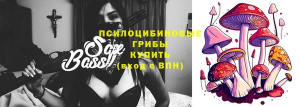 Альфа ПВП Инсар