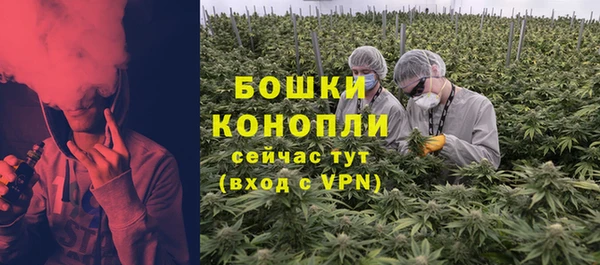 трава Инта