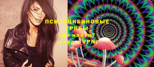трава Инта