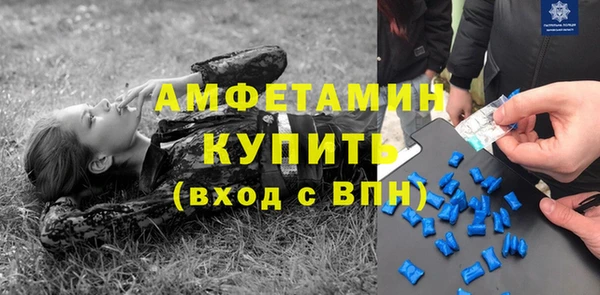трава Инта
