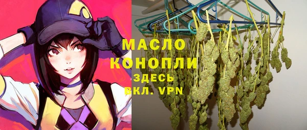 Альфа ПВП Инсар