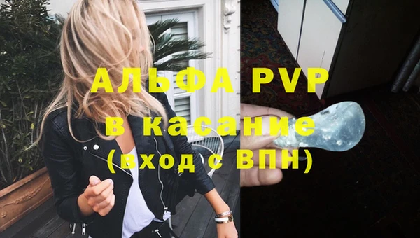 Альфа ПВП Инсар