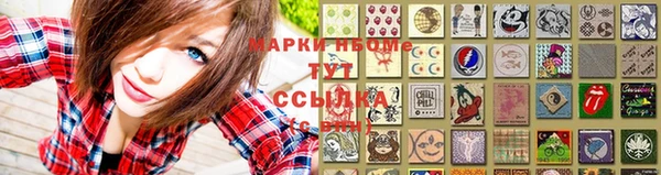 трава Инта
