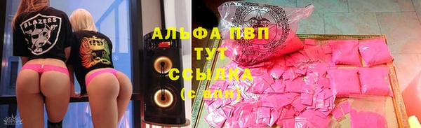 Альфа ПВП Инсар