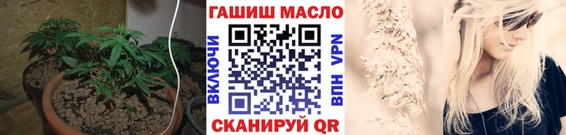Купить закладки  Вельск  ТГК THC oil 